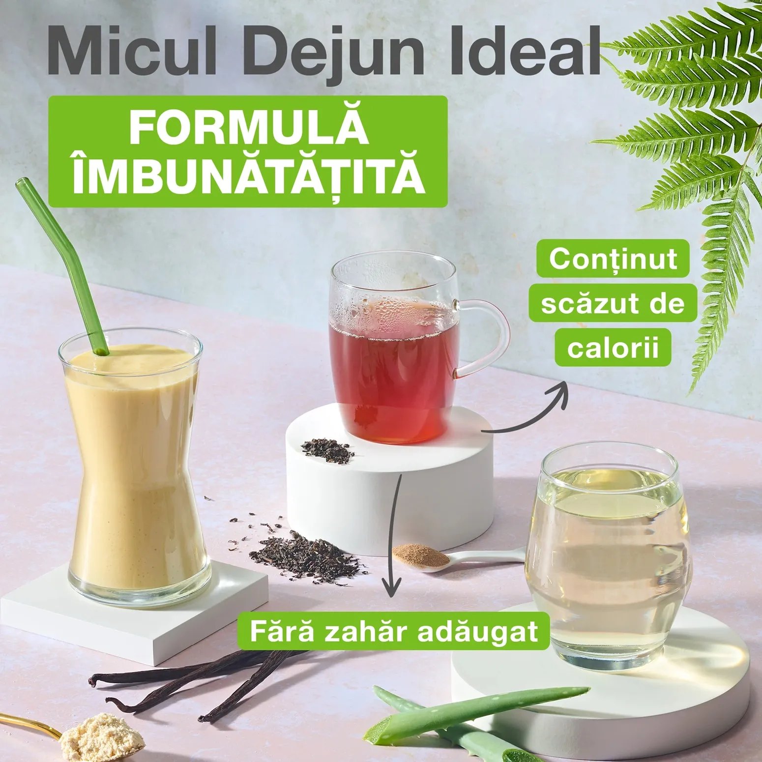 Mic dejun Herbalife cu Aloe, Formula 1, Ceai Herbalife, batoane